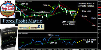 forexprofitmatrix Forex Master Level.jpg