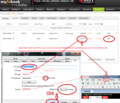 Myfxbook 6.png